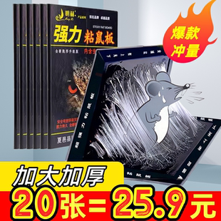 强力粘鼠板家用老鼠粘超强加大加厚胶商用款 灭鼠神器高粘度老鼠贴