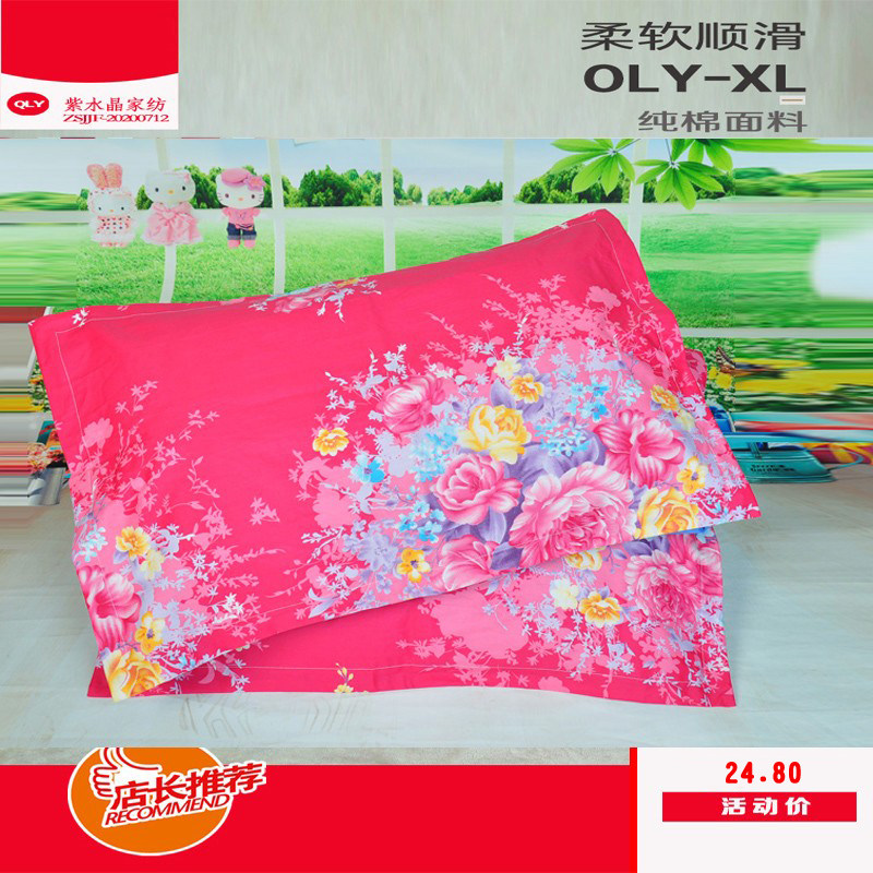 枕头套枕套一对纯棉单人学生枕套48*74cm成人全棉卡通枕芯套包邮,床上用品,枕套,淘宝优惠券,粉丝福利购,淘宝优惠卷