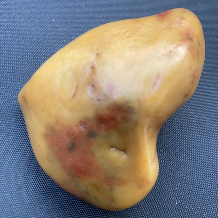 新疆戈壁玉金丝玉宝石光/乌尔禾地表料辉煌细腻油润彩玉原石籽料