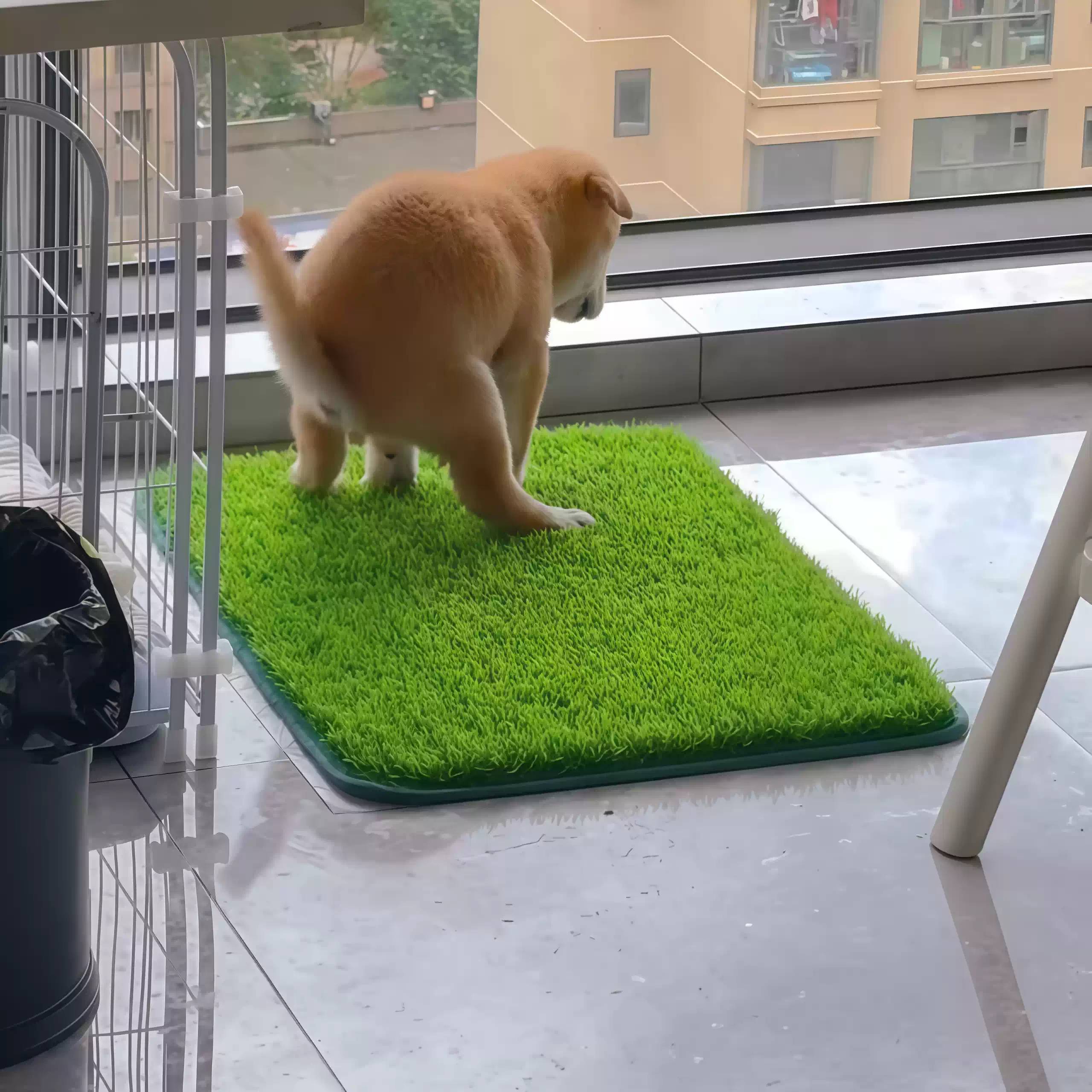 仿真草坪狗厕所狗狗专用定点上厕所诱导尿垫宠物猫咪用固定假草皮
