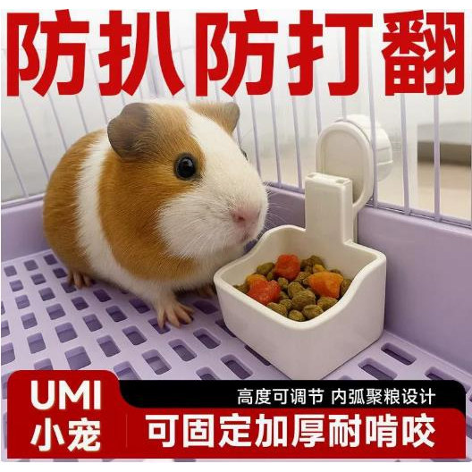 荷兰猪食盆umi兔子食盆防扒固定食盒豚鼠龙猫专用喂食器批发用