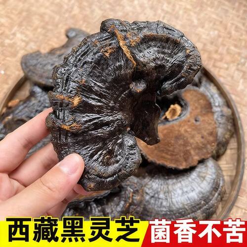 西藏野生黑灵芝特级整枝买二送一
