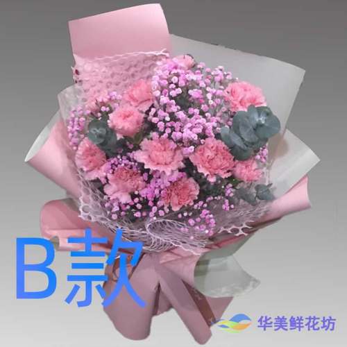 生日纪念康乃馨广东中山花店送花横栏镇古镇镇小榄镇同城鲜花速递