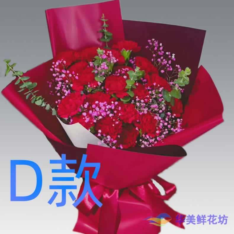 生日探望康乃馨江苏南京订花店送花栖霞区雨花台区江宁区同城速递
