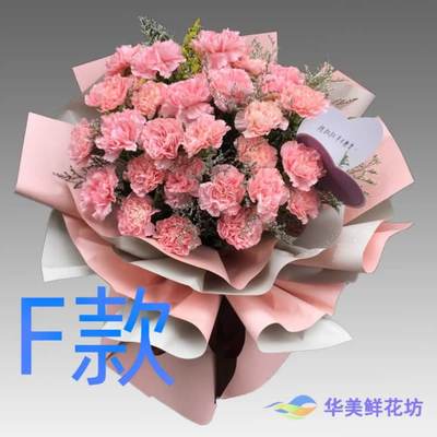 生日探望康乃馨广东茂名花店送花化州市信宜市茂南区同城鲜花快递