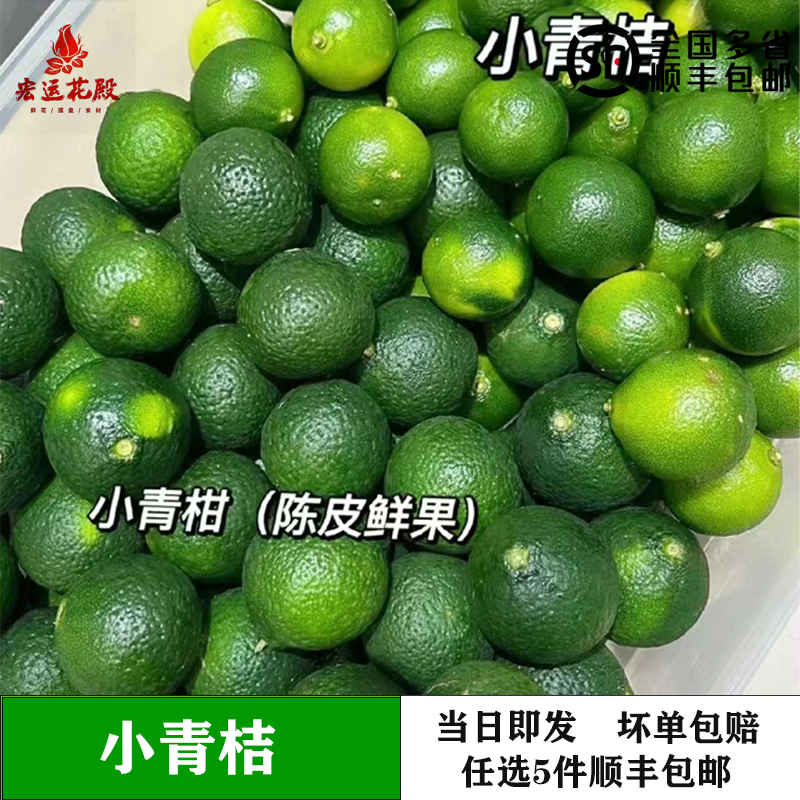 新鲜海南小青桔500g 青柠檬 金桔柠檬 奶茶饮料调酒摆盘食用水果