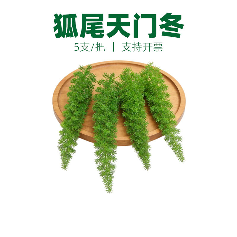 狐尾天门冬摆盘装饰花材