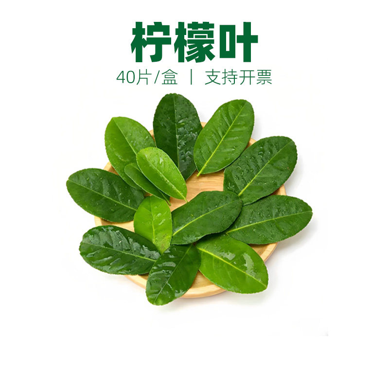 柠檬叶青柠叶摆盘装饰点缀