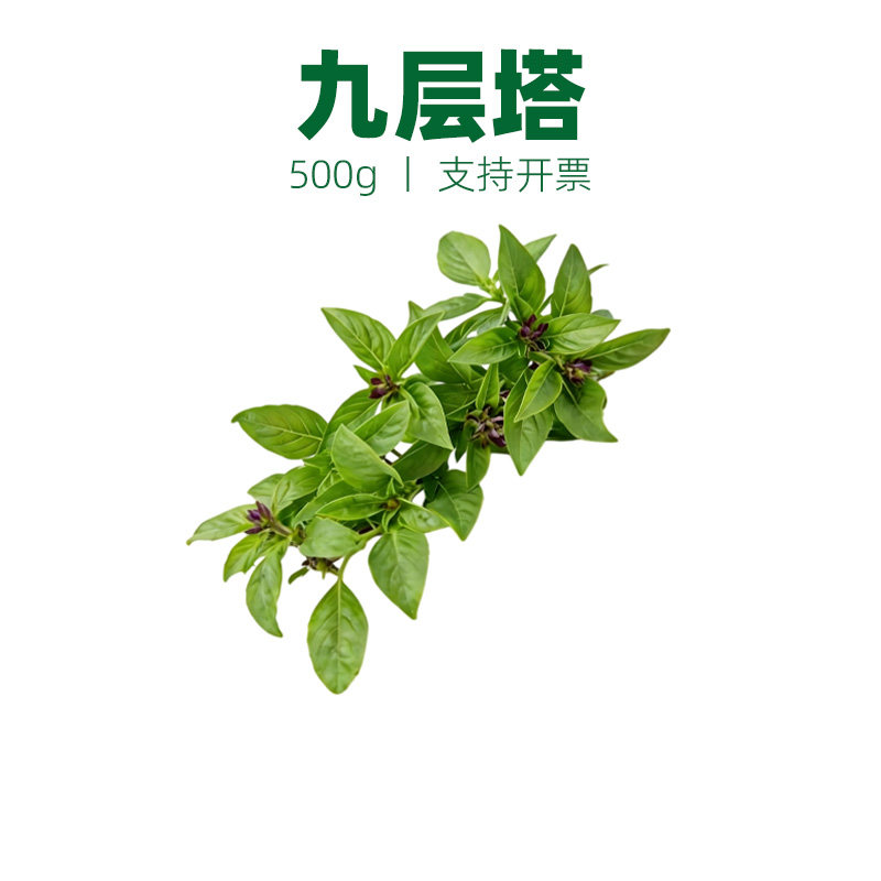 九层塔金不换冬阴功材料香料