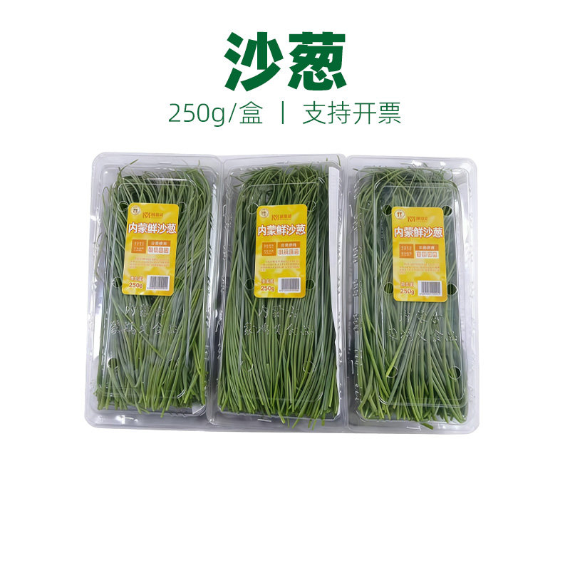 新鲜沙葱250g 现摘沙漠特产野菜 韭香爽脆 西餐厅凉拌食材 野胡葱