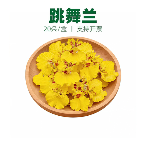 新鲜采摘跳舞兰文心兰金蝶兰 西餐蛋糕烘焙冷菜摆盘装饰花草点缀
