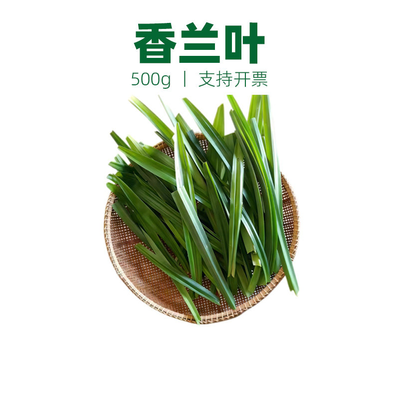 新鲜香兰叶 斑斓叶 甲抛叶 泰国食用香料500g