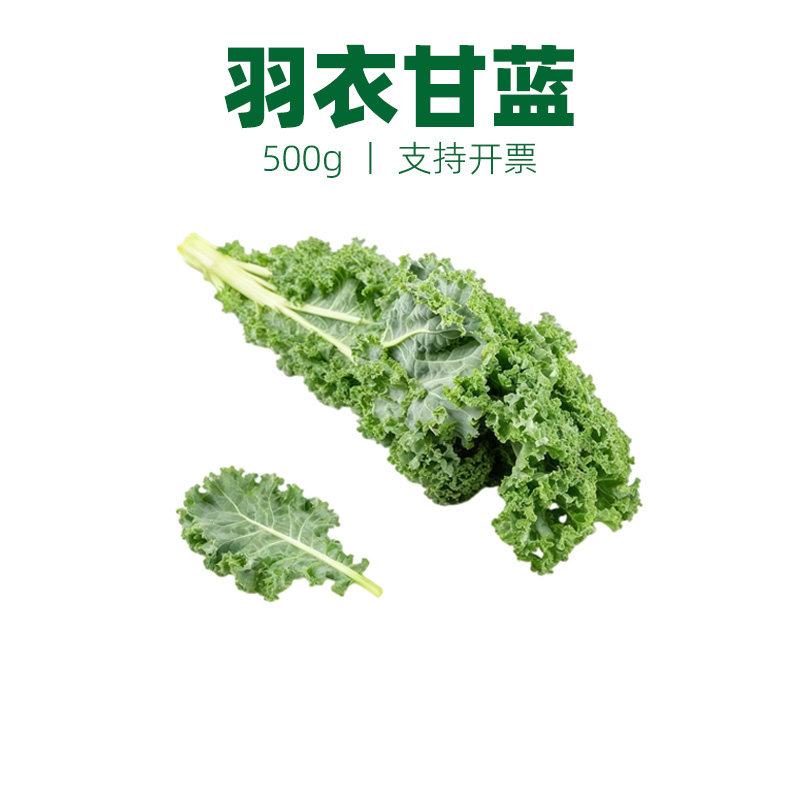 羽衣甘蓝新鲜蔬菜芥蓝菜