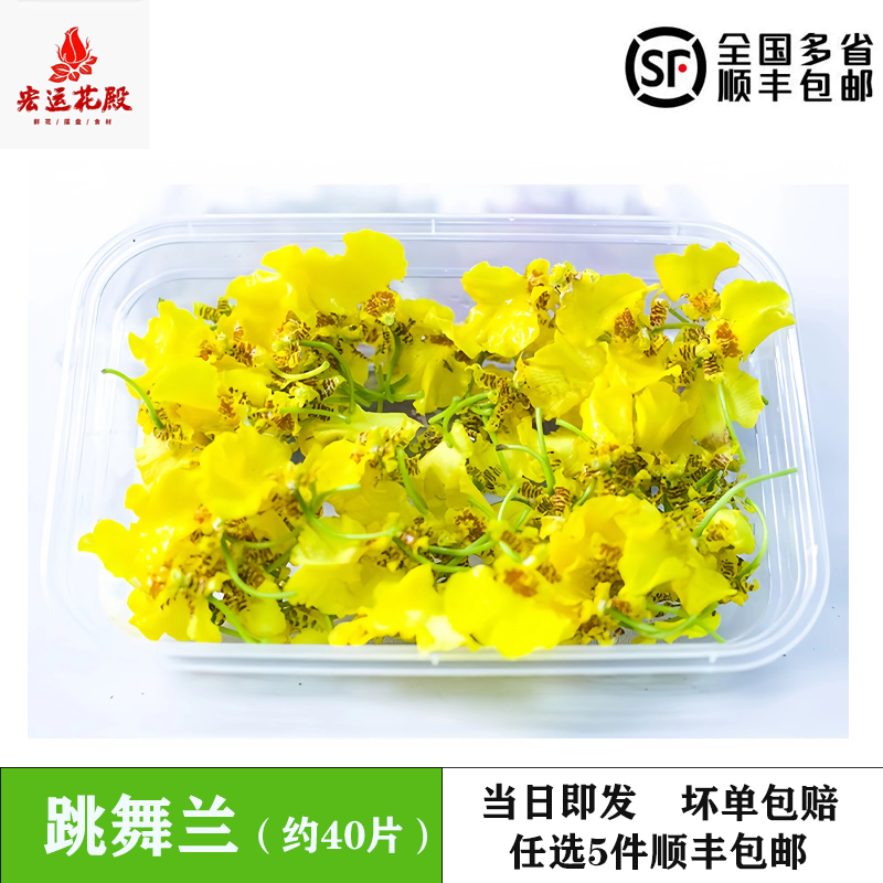 跳舞兰文心兰金蝶兰食用花