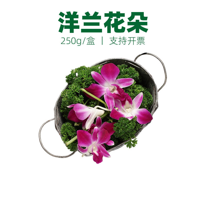 新鲜 泰国 杨兰花 洋兰花 花朵 火锅酒店西餐冷菜摆盘装饰点缀花