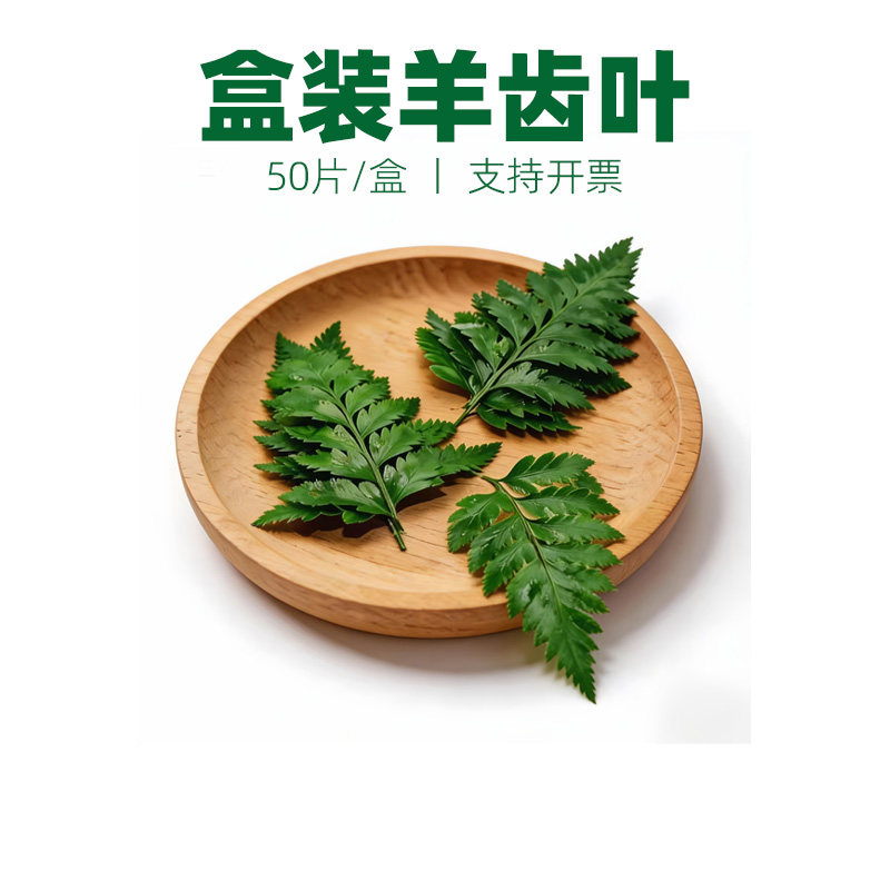芒叶杨子叶摆盘装饰花草点缀叶子