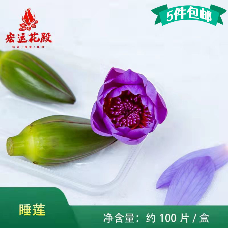新鲜睡莲花瓣 紫色莲花 可食用花 荷花约100片 西餐酒店摆盘装饰