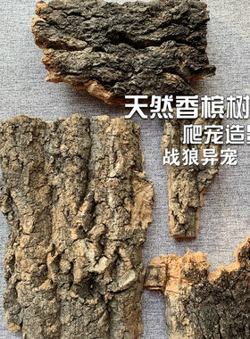 爬宠专用香槟树皮蜘蛛空气攀爬