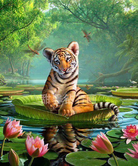 客厅过道方钻满钻钻石画点钻贴钻十字绣带钻睡莲荷花小老虎钻石绣