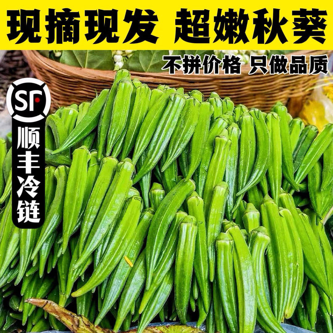 新鲜秋葵顺丰冷链包邮