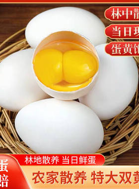 农家散养140g双黄大鹅蛋破损包赔