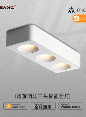 超薄三头明装筒灯Matter Thread智能Homekit斗胆灯绿米Aqara射灯