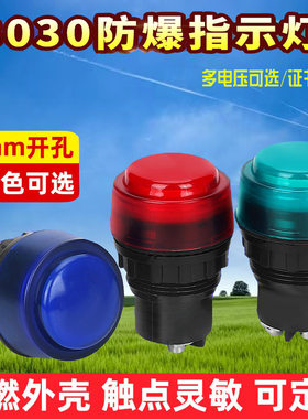 防爆信号灯8030红色绿色黄色380V220V24V36V警示防爆配电箱专用灯