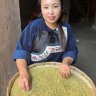 湘西苗家自种青皮黄豆