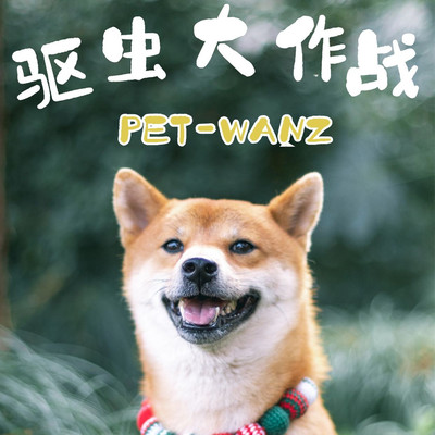 狗狗驱虫作战不要马虎偷懒