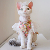 约克夏 泰迪连衣裙比熊春夏装 清 CQ642大大大蕾丝花边复古碎花裙