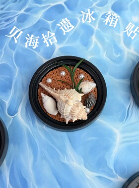 大海的礼物创意贝壳DIY冰箱贴手工海洋风纪念品家居装饰个性磁贴