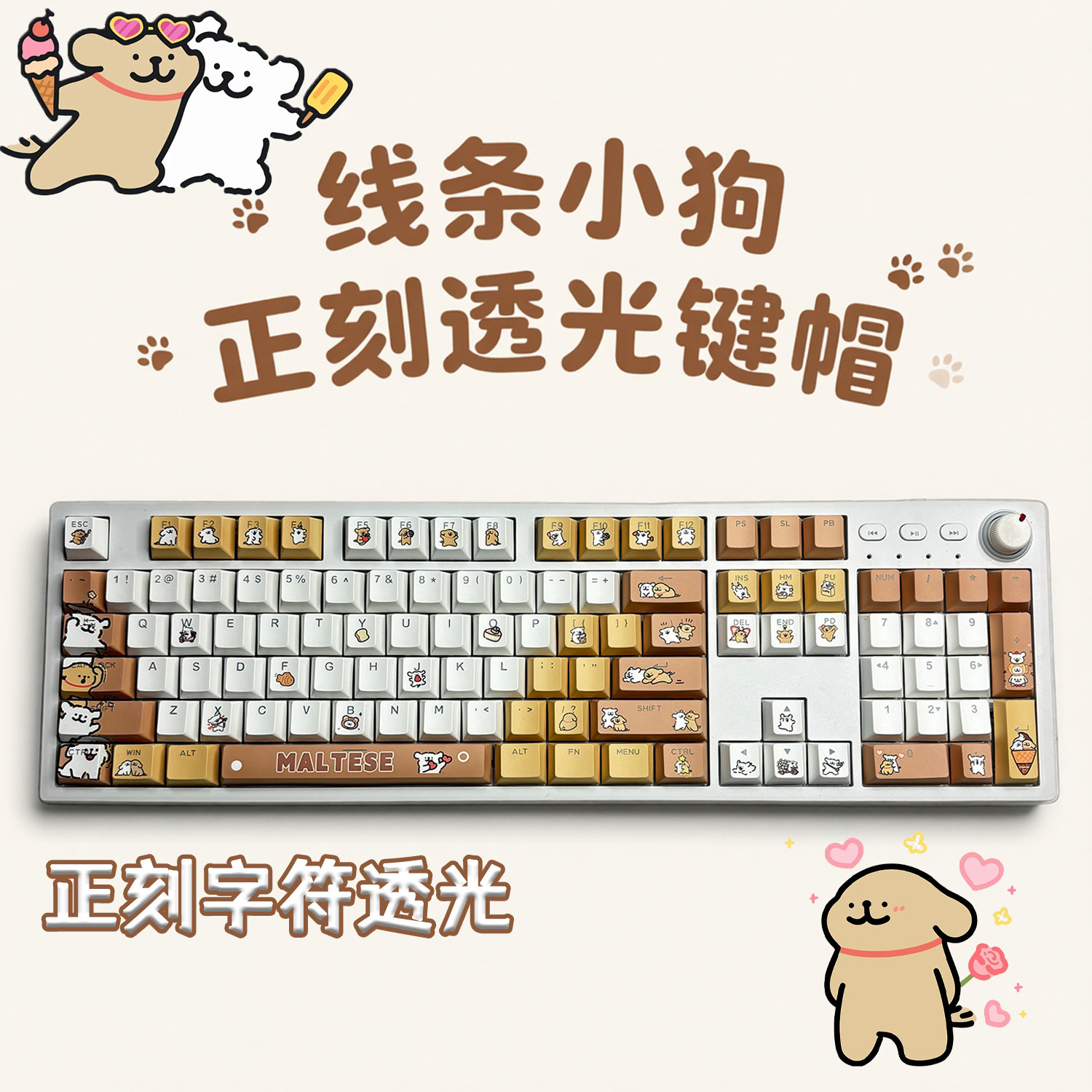 棕色线条小狗正刻透光磁轴键帽