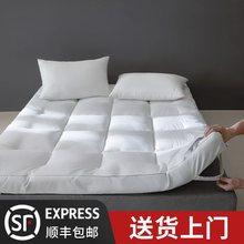 五星级酒店床垫家用防螨家用厚床褥子榻榻米垫被酒店宿舍加厚垫褥