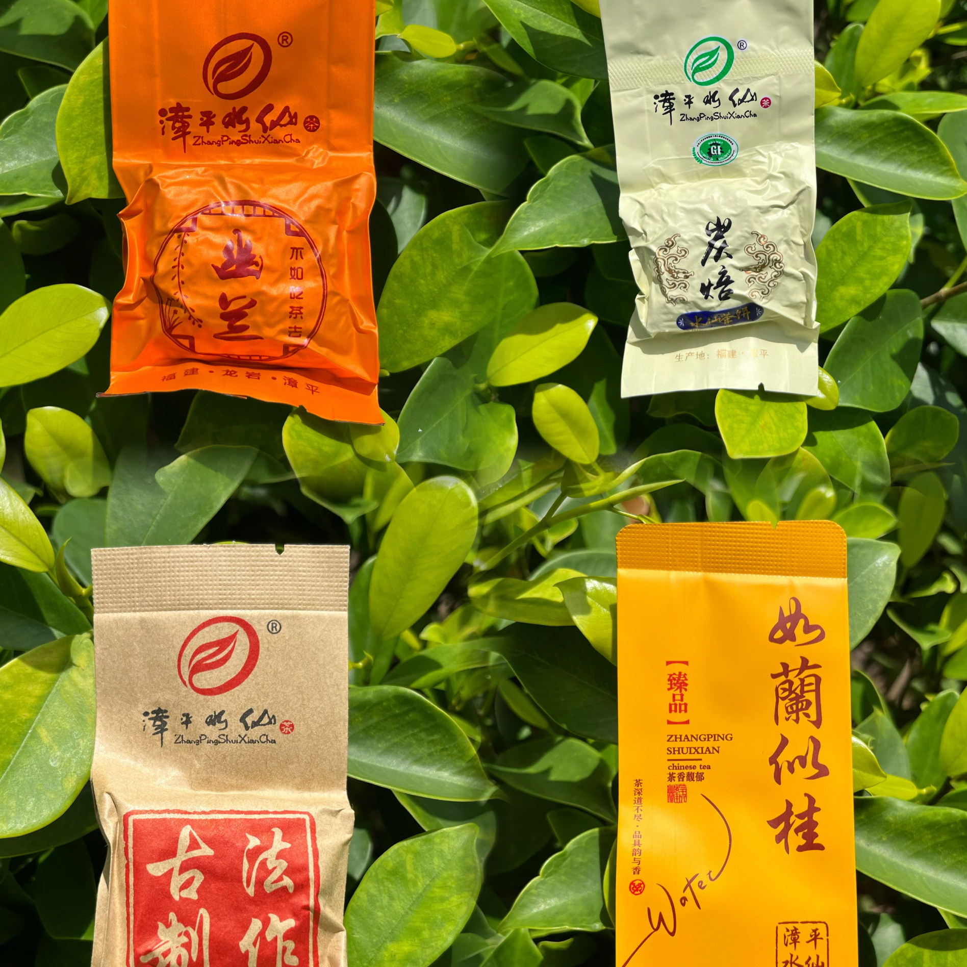 乌龙茶福建特产乌龙茶 漳平水仙茶  品鉴装总8泡一样 2包