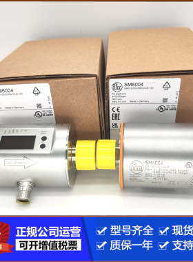 IFM SM6000 SM7000 SM8000 SM9000 SM6004 SM4000 SM8100流量计