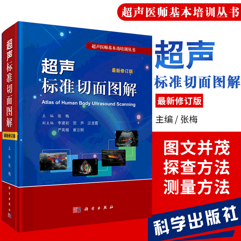 血管正常值测量备忘录心动图入门掌中宝腹部浅表器官书系基础彩超临床