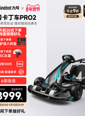 九号Segway卡丁车PRO2成年漂移儿童赛车四轮电动玩具多玩法