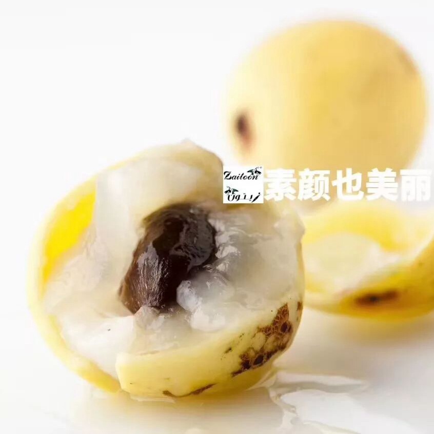 简装有机冷压纯原马鲁拉果仁油波巴布树油屏障修复净化孕妈妈宝宝