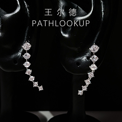 925纯银耳环18K铂金高碳钻石一字排钻麦穗耳钉女时尚耳饰节日礼物