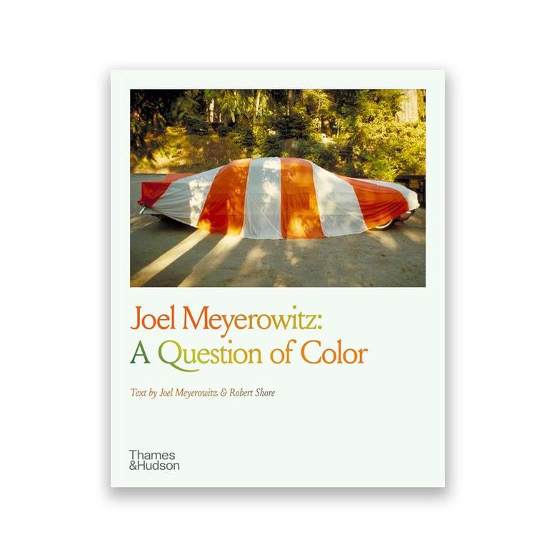 JoelMeyerowitzAQuestionOf