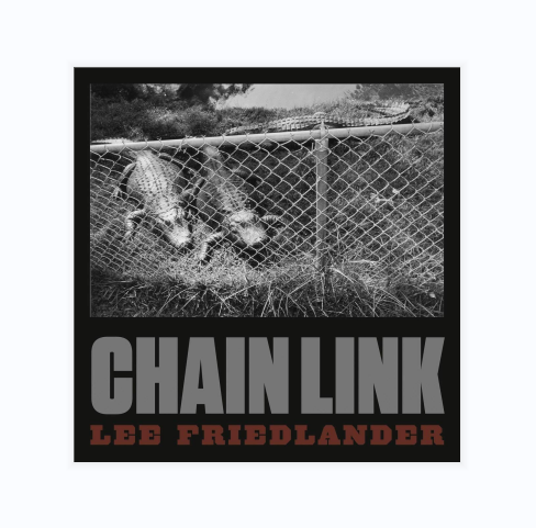 LeeFriedlanderChainLink