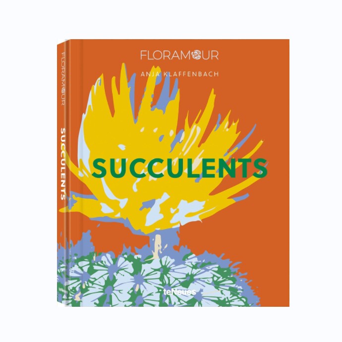 Succulents多肉植物原版艺术