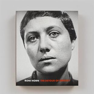 The Detour 进口艺术摄影画册 Roni 华源时空 原版 Horn Identity 预售