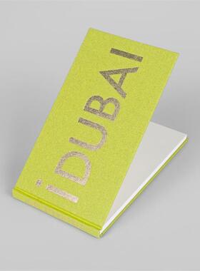 预售 Joel Sternfeld Idubai乔尔士单法 Steidl 英文进口原版摄影画册 华源时空