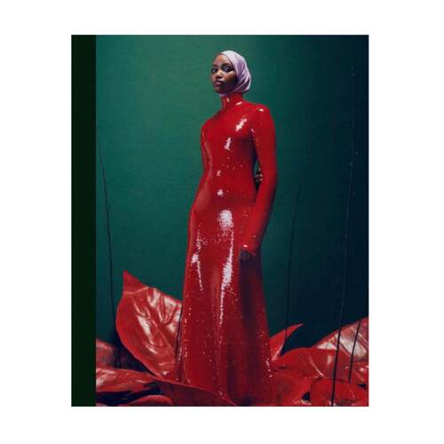 预售 Feeling Seen: The Photographs Of Campbell Addy被看见的感觉：坎贝尔艾迪的摄影