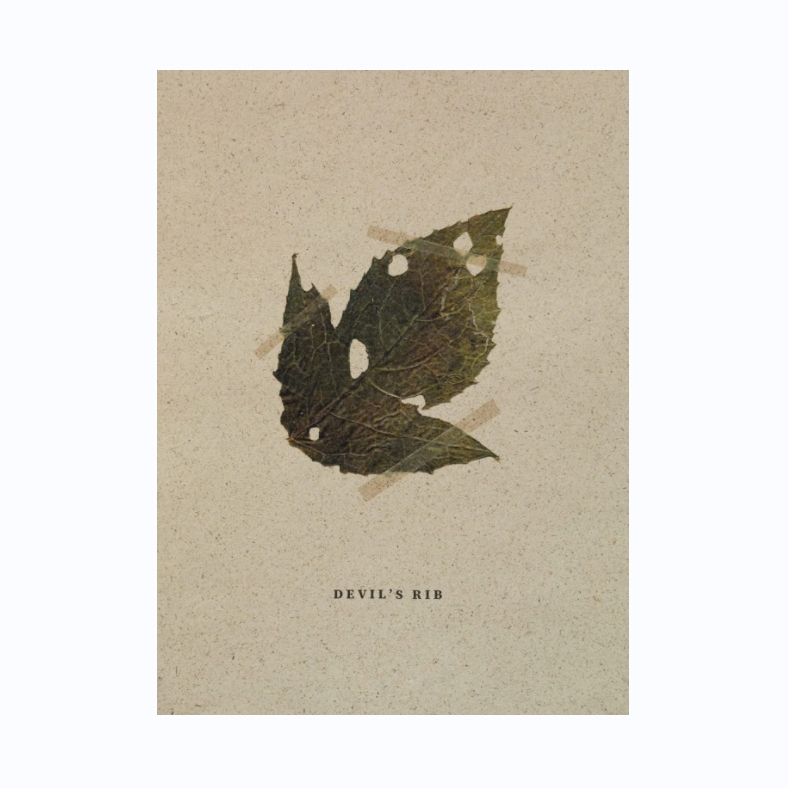 MateuszKowalik魔鬼的肋骨