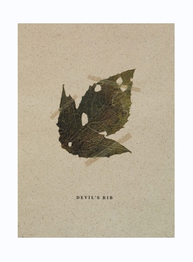 预售 Mateusz Kowalik: DevilS Rib马特乌斯科瓦利克：魔鬼的肋骨进口图书原版图书