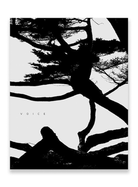 预售 李俊金:声音 Jungjin Lee:Voice 英文原版图书外版进口书籍 摄影画册  华源时空