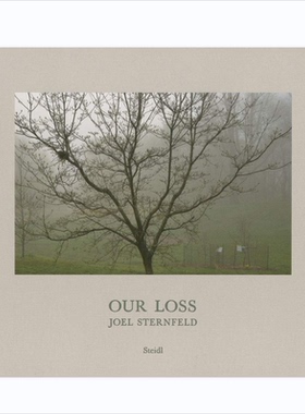 预售【保证正版】Joel Sternfeld: Our Loss 英文原版摄影集艺术图书籍 英文 艺术摄影 华源时空