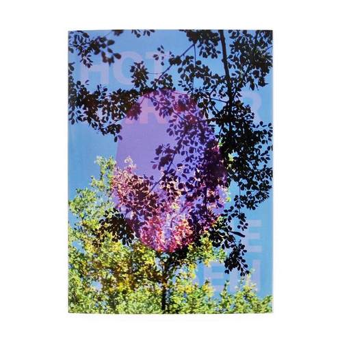预售 Viviane Sassen: Hot Mirror 薇薇安娜萨森：热镜 艺术原版 原版进口英文 艺术摄影 摄影画册 华源时空